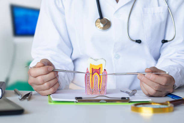 Best Emergency Root Canal Treatment in Cedarburg, WI